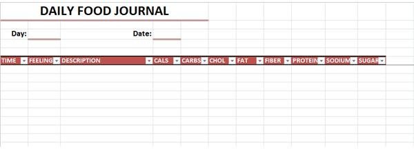 Excel Food Journal