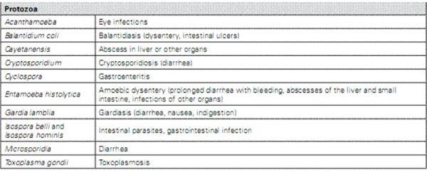 Diseases Caused by Beach Pollution Pathogens -2