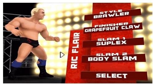 TNA Ric Flair