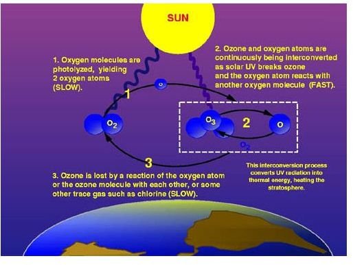 Ozone cycle