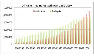 Expansion of palm oil cultivation area. Credit: FAOstat.
