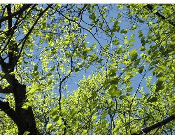 Change in Weather & Seasons: Kindergarten Science Lesson