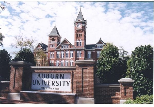 Don't Waste Another Summer - Enroll for Online Summer Sessions at Auburn University