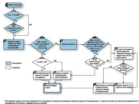 Assessment and treatment algorithm for overweight and obesity