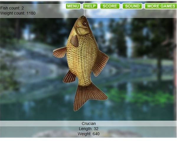 Bass Fishing - Free Fishing Games