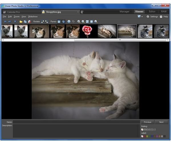 Viewer Tab in Zoner Photo Studio 12