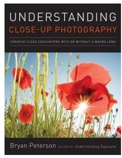 understanding close up photography-231x300