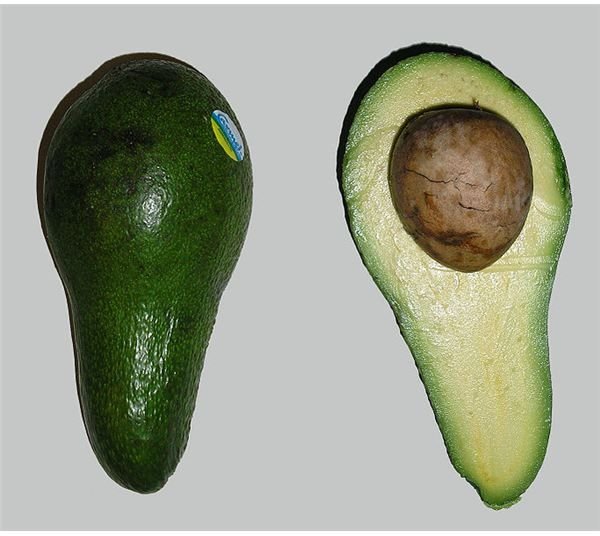 Nutrition for Prostate Health: What Should You Eat for the Health of Your Prostate