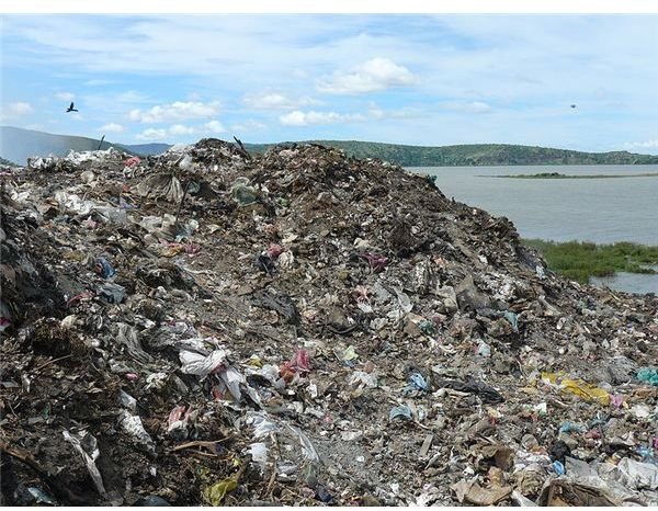 What is Solid Waste:  Pollution Effects of Solid Waste