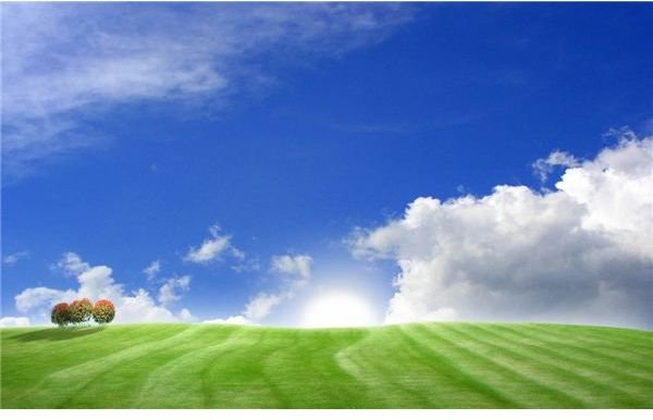 windows vista wallpaper 6