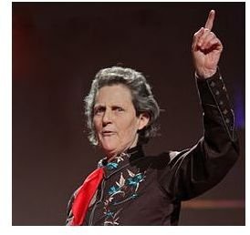The Temple Grandin Squeeze Machine: History and Benefits