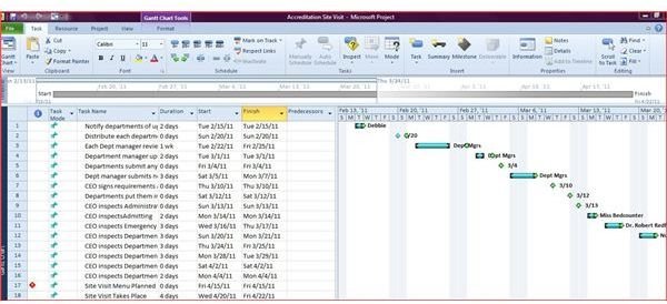 Project and Excel- Tasks