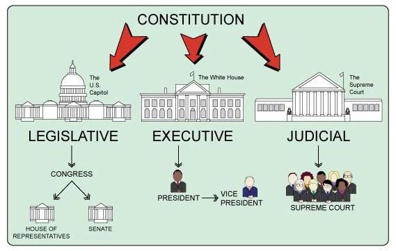 Branches Of Government Worksheet