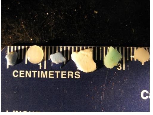 Tiny pieces of plastic sampled from the North Pacific Garbage Gyre.