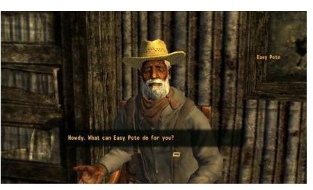 Fallout New Vegas Conversation