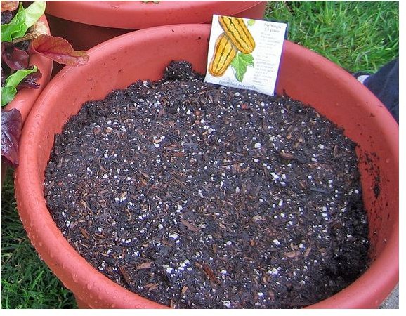 Potting soil