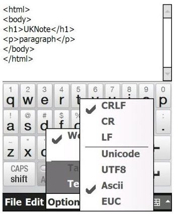 UKNote is a great raw text editor for Windows Mobile