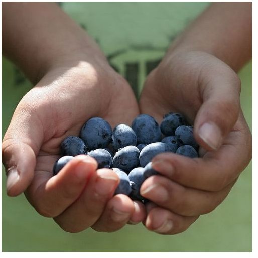 Foods Good for the Skin: What are the Best Foods?