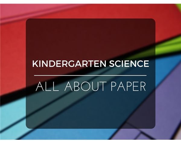 Where Does Paper Come From? Kindergarten Science Lesson