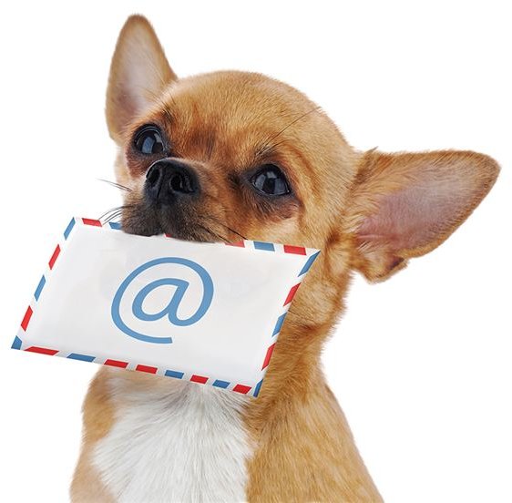 Business Email Etiquette: A Comprehensive Communication Guide