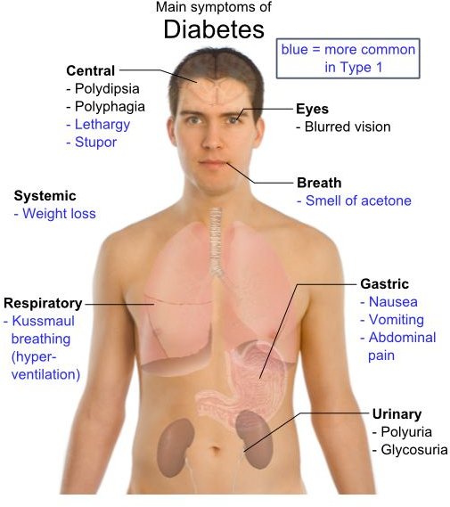 can-undiagnosed-diabetes-cause-weight-gain-better-weigh-medical