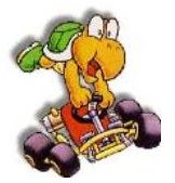 Koopa Troopa is considered by many to be the best character in the game due to his overall balanced style and handling.