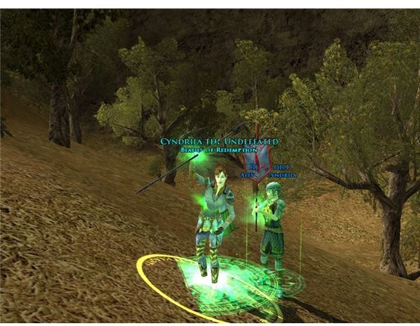 Lord of the Rings Online Captain Guide