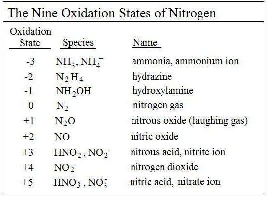 Easy Diagram of Nitrogen Cycle Shows Conversions in the Simple Nitrogen Cycle