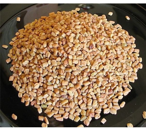 Health Benefits of Fenugreek Seeds