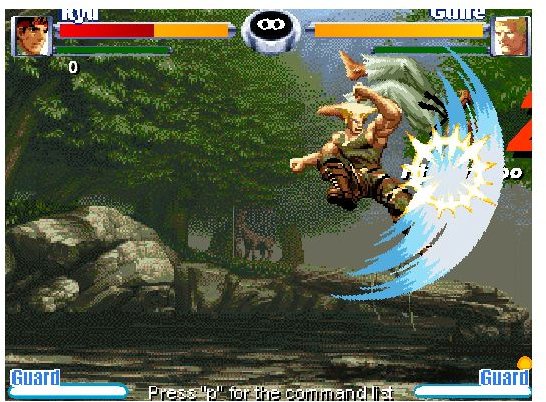 Street Fighter Flash Screenshot
