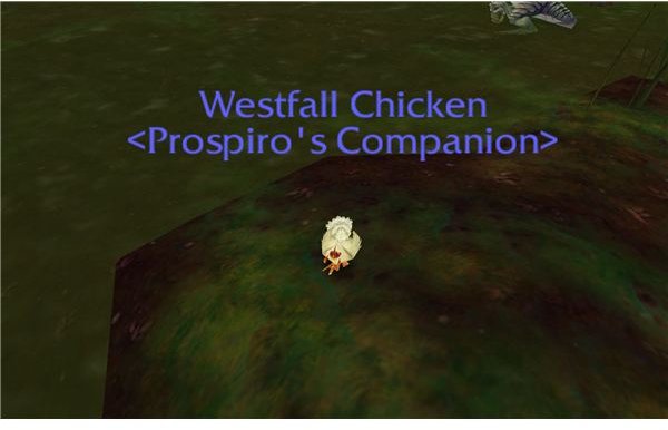 WoW Westfall Chicken Pet