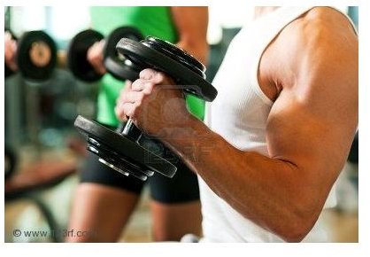 isometric exercises for triceps