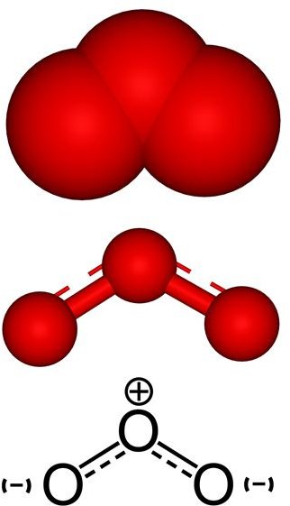 Selecting Ozone Resistant Materials for Construction