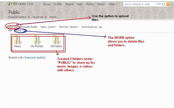 Fig 2 My Public Folder - Microsoft Online Storage