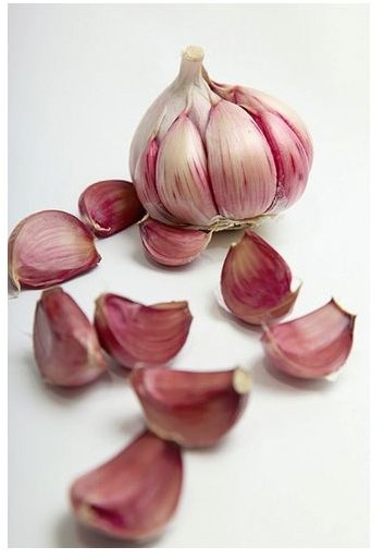 Health Benefits of Garlic Supplements