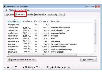 Task Manager - Processes 2
