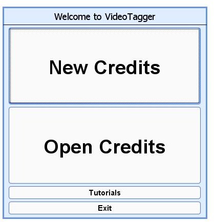 VideoTagger Interface