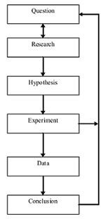 What is a Control in a Science Experiment?