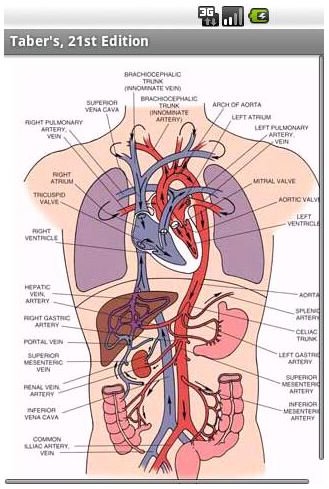 Taber&rsquo;s Medical Dictionary