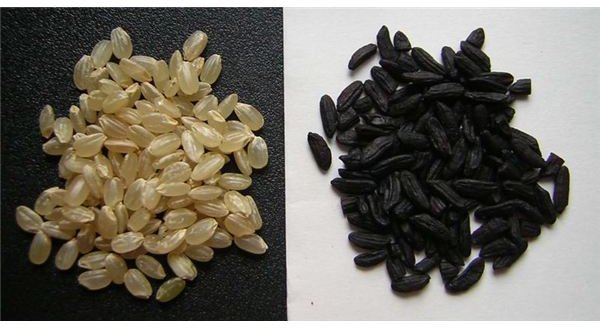 Whole Grain rice and Japanese Black Rice