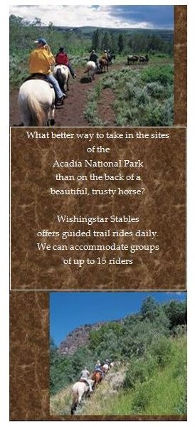 Horse Riding Tours Rack Card