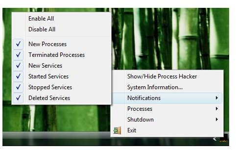 Handy Menu in Using Process Hacker