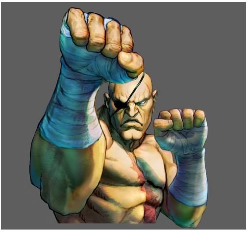 Sagat in SFIV