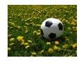 Types of Sports Injuries: Is it an Acute Sports Injury or an Overuse/Chronic Sports Injury?