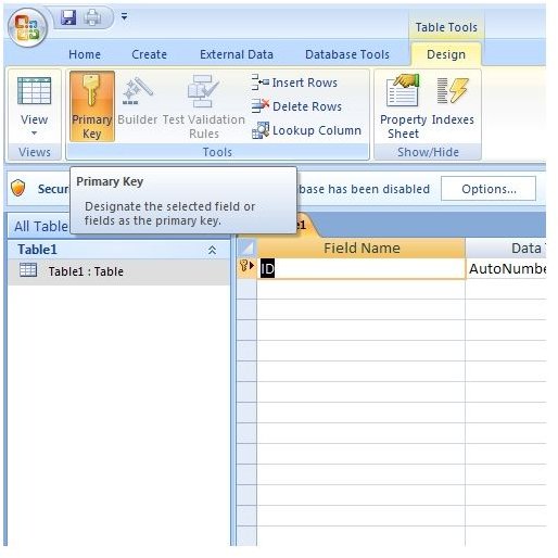 Rules for Creating Primary Keys in an Access 2007 Database