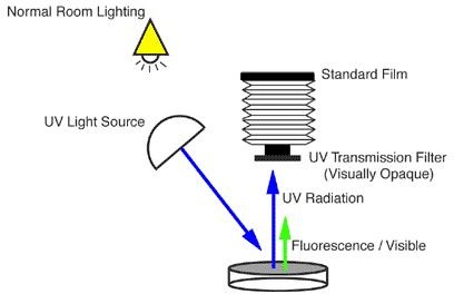 Learn What Ultraviolet Photography Is and a Brief Background on Ultraviolet Radiation