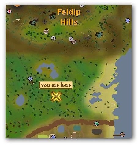 Location of Spined Larupia in Runscape