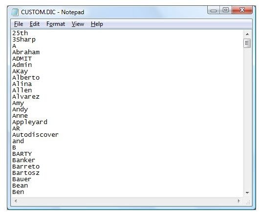 Figure 2 - Sample Custom Dictionary (CUSTOM.DIC) file