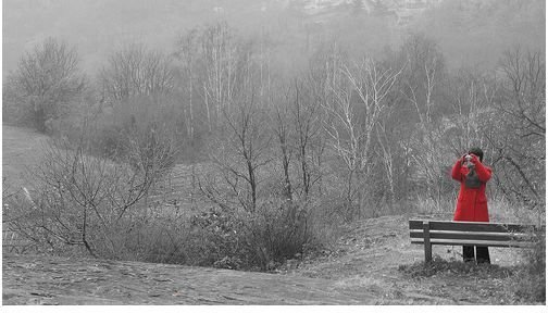 My Red Coat Selective Colorization