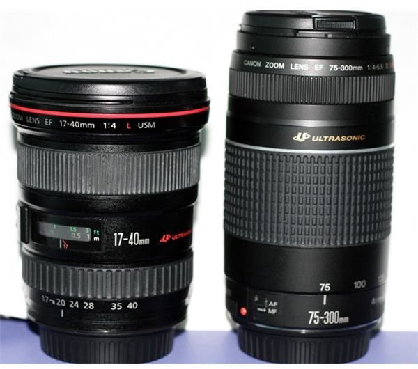 Top 3 Canon Camera Lenses That Are Affordable and Flexible